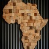 1747385582_africa
